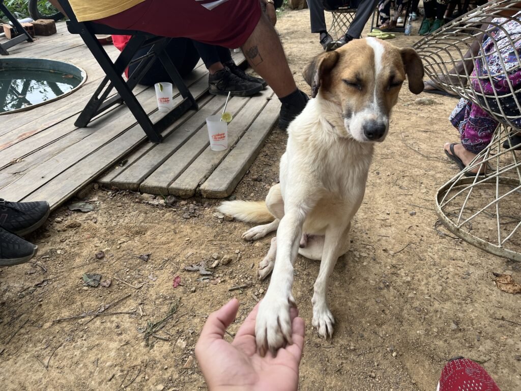 20221119-Trilha-Sonora-Serra-do-Vulcao-_Nova-Iguacu3-1024x768 A novela interminável: "Serra  em chamas"